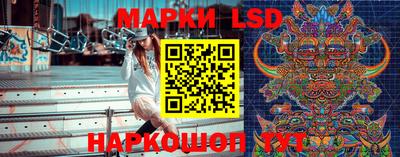 spice Краснознаменск