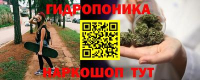 spice Краснознаменск